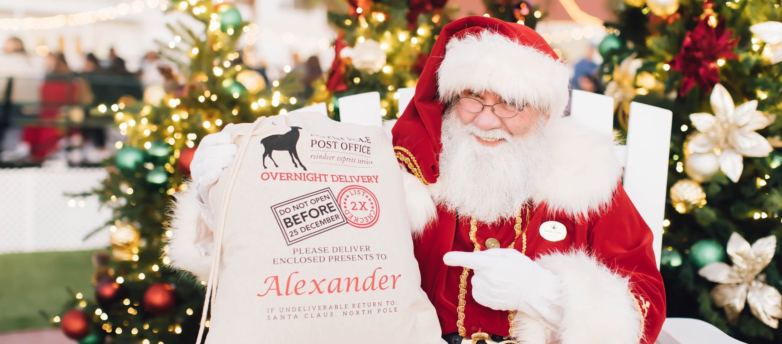 Santa with gift bag