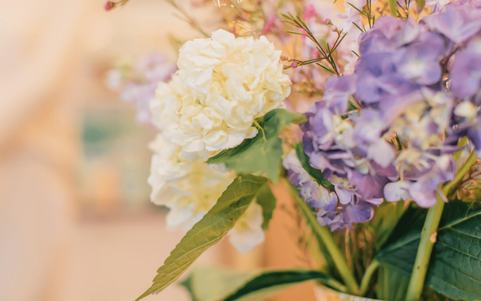 floral arrangement