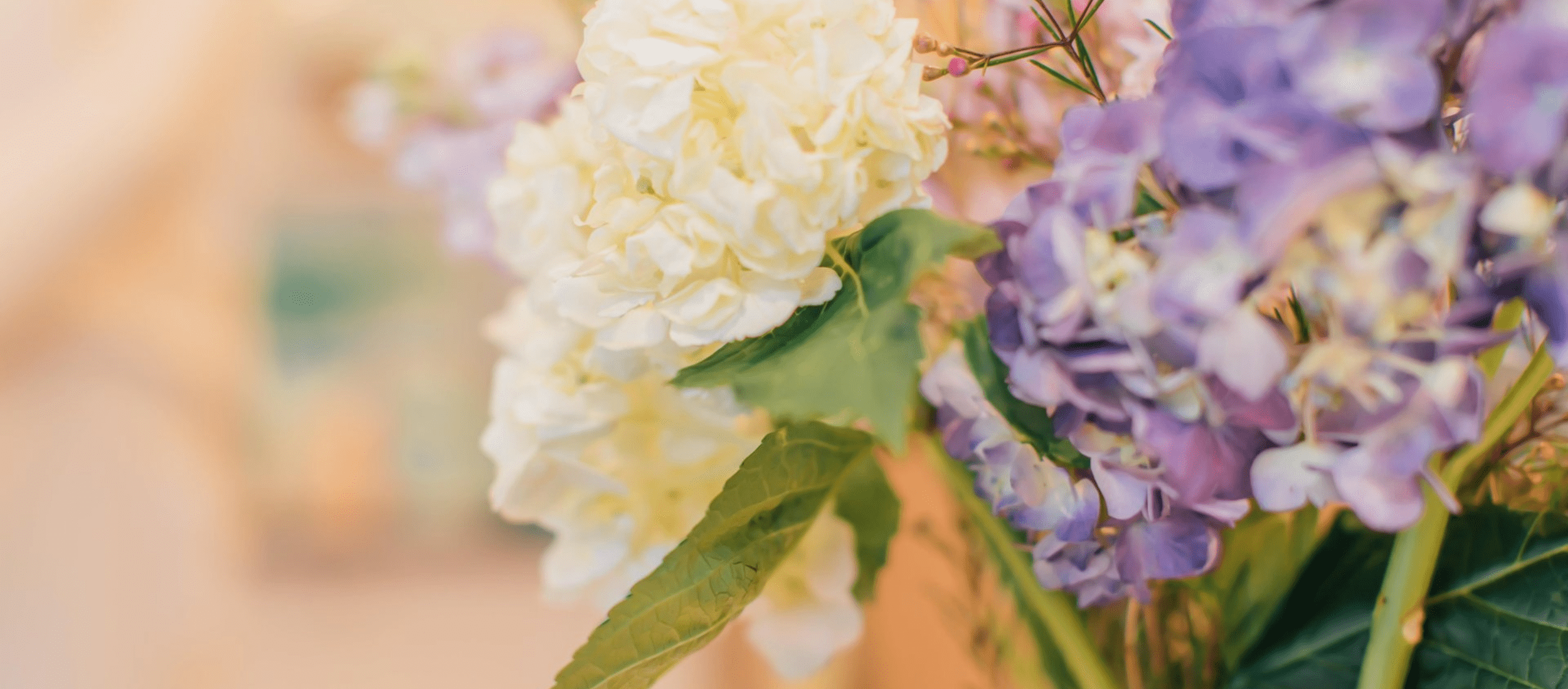 floral arrangement